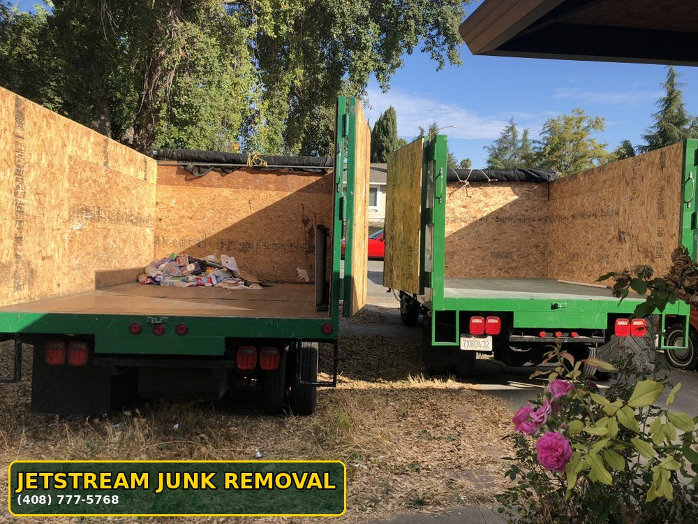 yard debris removal and property cleanout